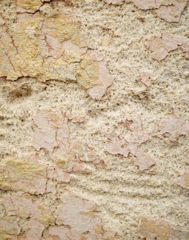 Riskivapaa Kasino: Pelilliset Edut Ja Mahdollisuudet Suomalaisille