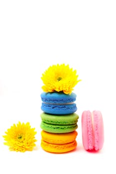 Hp Invest Laina: Selkeä Katsaus Yrityksen Toimintaan Ja Mahdollisuuksiin Suomessa