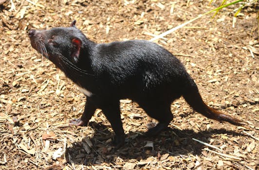 Käänteinen Asuntolaina Säästöpankki: Perusperiaatteet Ja Käyttömahdollisuudet