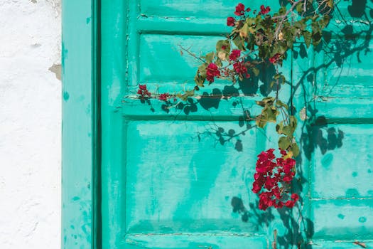 Leijona Kasino 15 Dollar - Parhaat Vinkit Ja Tarjoukset Suomalaispelaajille