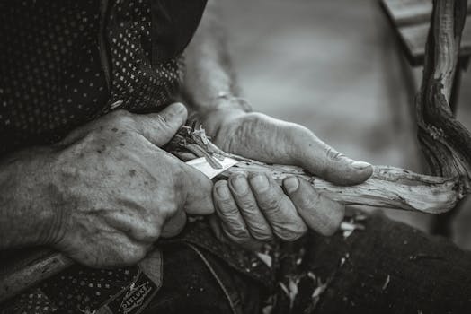 Uusimmat Pikavipit Vuonna 2026: Parhaat Lainavaihtoehdot Ja Vertailut