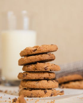 Yrityslaina Tarjous: Vertailu, Ehdot Ja Hakuprosessi