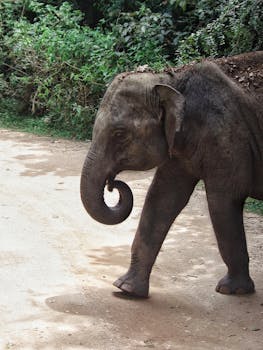 Lainan Hakeminen Ilman Luottotietoja: Keinot, Edut Ja Riskit