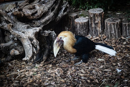 S-lainan Korko: Vertailu, Vaikutus Ja Hinnoittelu