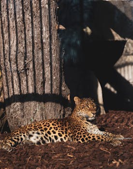 Maksublokit Nettikasinoille: Kuinka Valita Ja Käyttää Maksuratkaisuja