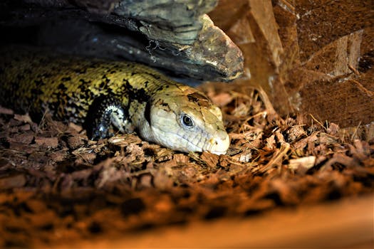 Blue Finance Kirjaudu Omat Sivut: Näin Hallinnoit Rahoitustilisi Helposti