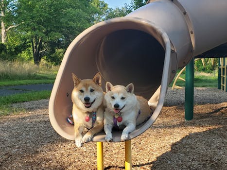Kuinka Ison Lainan Voin Saada: Opas Lainarajan Määrittämiseen Ja Hakemiseen