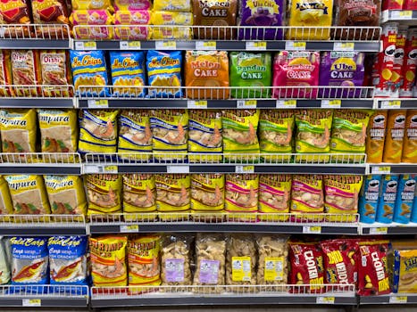 1000e Luotto: Oppas Ja Mahdollisuudet