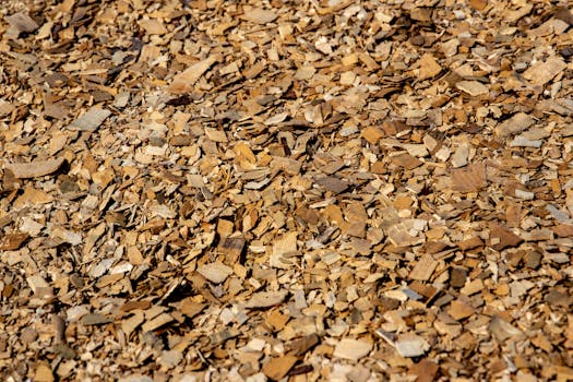 Slotwolf Casino Kokemuksia Ja Arvostelu