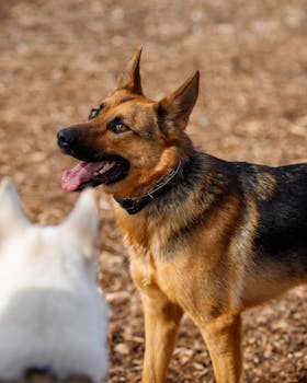 Kaikki Verovapaat Kasinot: Oppaan Löydät Parhaat Suomalaiset Verovapaat Pelipaikat