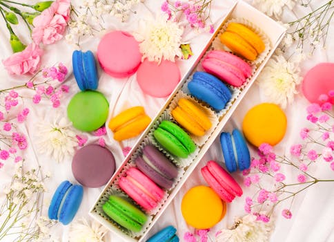 Op Kortin Sulku: Ohjeet Ja Käytännöt