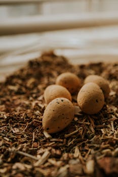 Yrityslaina Tarjous: Vertailu, Ehdot Ja Hakuprosessi