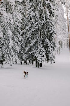 Yrityslaina Laskuri Nordea: Opas Yrityslainan Arviointiin Ja Laskurien Käyttöön