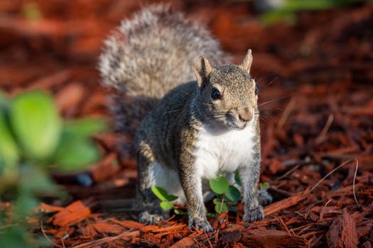 Op Asuntolaina Ilman Säästöjä: Mahdollisuudet Ja Hankintaprosessi