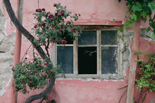 Yrityslaina 150000: Selvitys Rahoitusvaihtoehdoista Ja Hakuprosessista