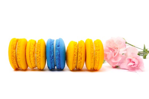 Play N Pay Casino: Pelivieraat, Kasinopelit Ja Pelaamisen Edut