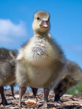 Uudet Nettikasinot: Parhaat Uudet Kasinot Ja Niiden Ominaisuudet