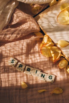 Pankkikortti Lapselle Nordea: Ohjeet, Palvelut Ja Turvallisuus