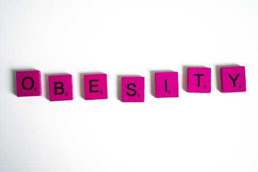 Lainan Haku Netissä: Opas Selkeisiin Ja Nopeisiin Ratkaisuisiin