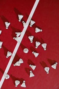 Rolf Slotboom Ja Omaha-pokeri: Siyvarulis Ja Pelistrategiat