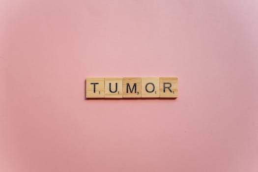 Pikavippi Ilman Pankkitunnistautumista: Mahdollisuudet Ja Käytännöt