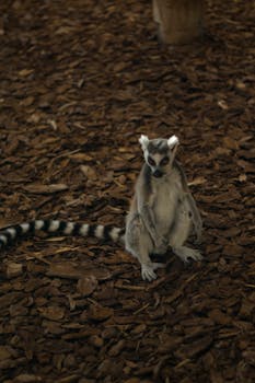 Guides To S Pankki Visa Cards And Services